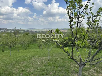 Surčin (mesto) | 4zida.rs