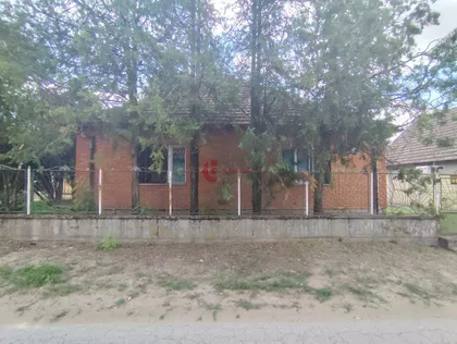 Zorka | 4zida.rs