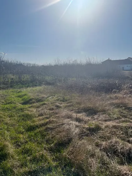 Cvetojevac | 4zida.rs