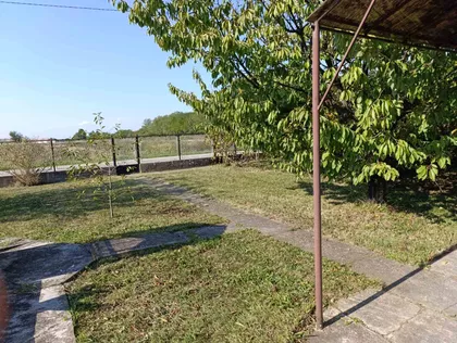 Stepe Stepanovića | 4zida.rs