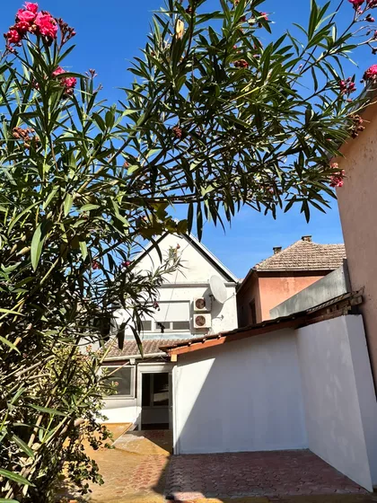 Dositeja Obradovića | 4zida.rs