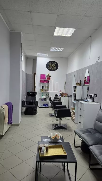 Novi Sad - Centar | 4zida.rs