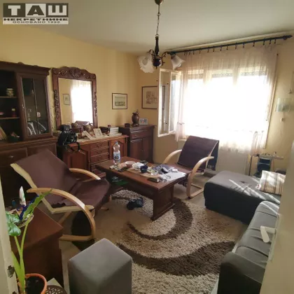 Šumarice | 4zida.rs