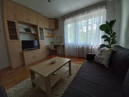 Miše Dimitrijevića | 4zida.rs