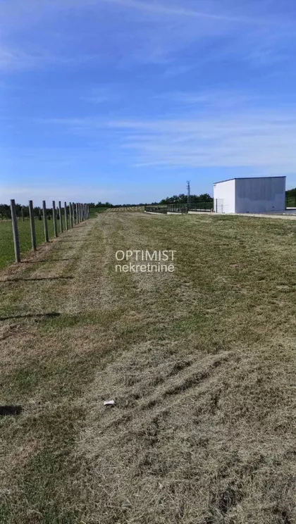 Čortanovci | 4zida.rs