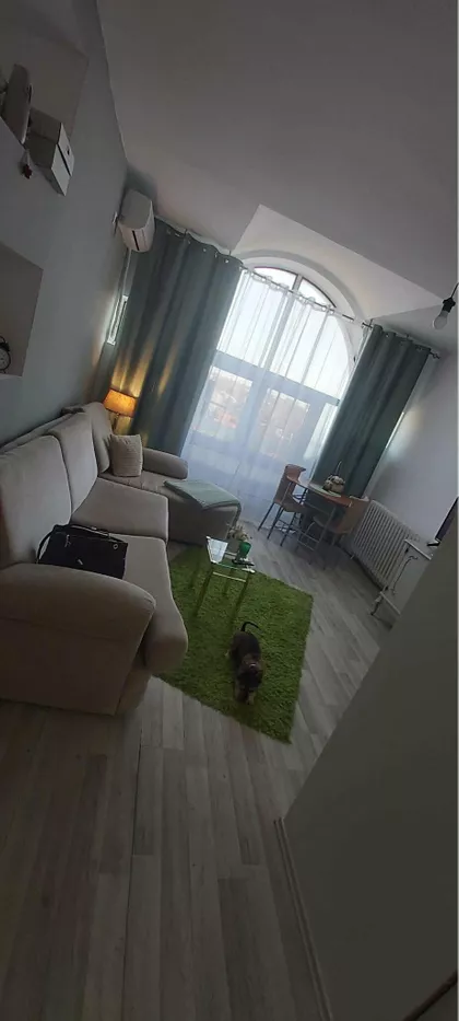 Žitni Trg 12 | 4zida.rs