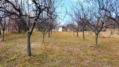 NOVO HOPOVO