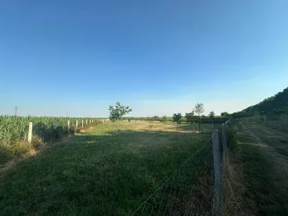 Skrobara | 4zida.rs