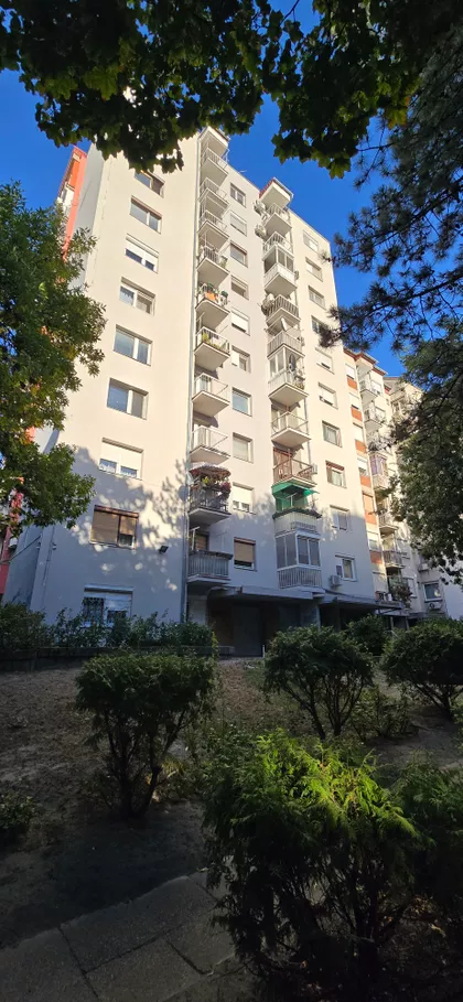 Radijalac | 4zida.rs