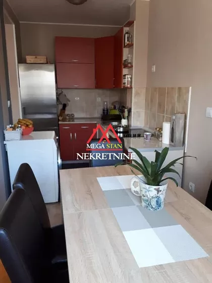 Vojvode Šupljikca | 4zida.rs