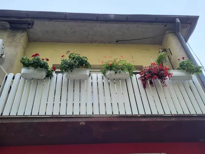 Begeč | 4zida.rs