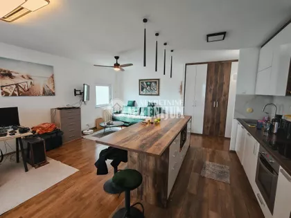 Dr Ivana Ribara | 4zida.rs