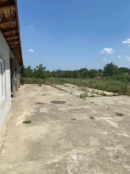 Dobrovoljačka | 4zida.rs