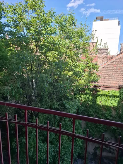 Južni Bulevar | 4zida.rs