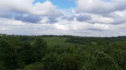 Gajska | 4zida.rs