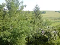Beška, Okolne lokacije, Inđija | 4zida.rs | 4zida.rs