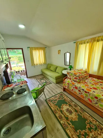 Lujze Mišić | 4zida.rs