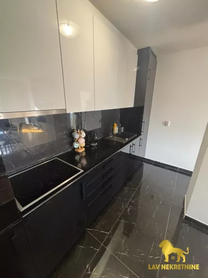 JERNEJA KOPITARA | 4zida.rs