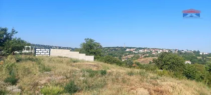 Alibegovac | 4zida.rs