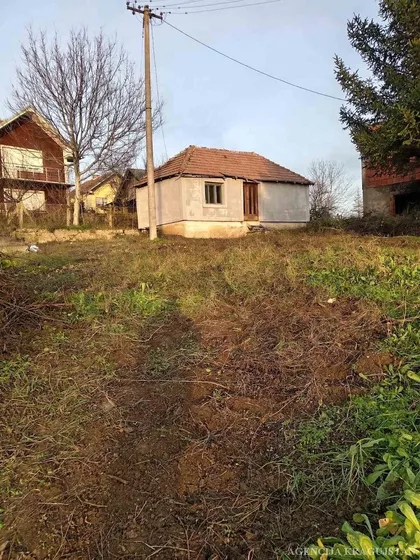 Badnjevac | 4zida.rs