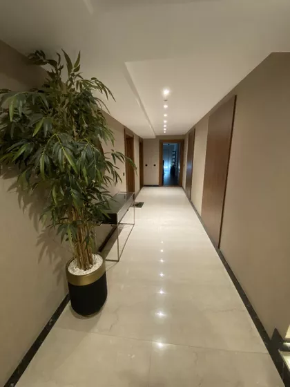 Braničevska | 4zida.rs