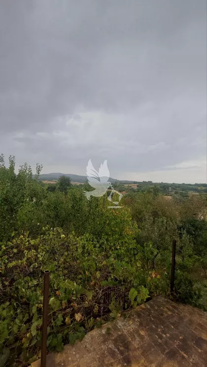 Koraćica | 4zida.rs