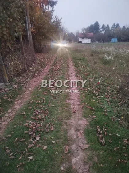 Zarka Bajica | 4zida.rs