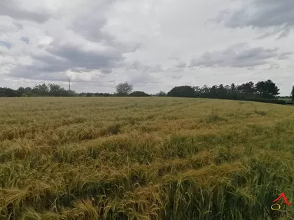 Gradske lokacije | 4zida.rs