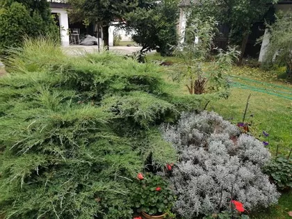Zrenjanin, Brigadira Ristića | 4zida.rs