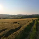 Poljoprivredno zemljište | 4zida