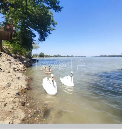 Banoštor | 4zida.rs