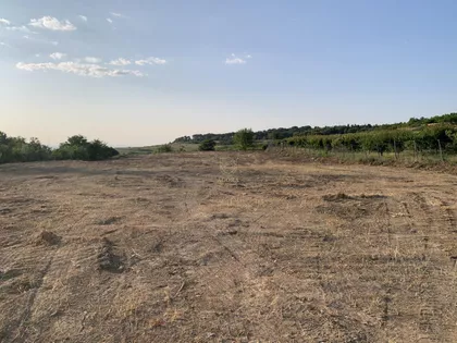 Aleksandra Bugarskog | 4zida.rs