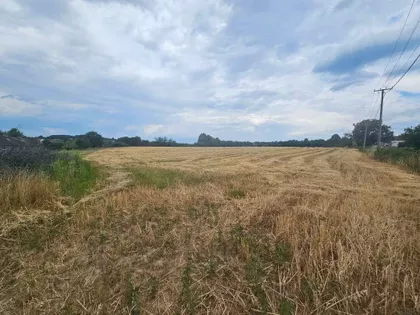 Jadarska Lešnica | 4zida.rs