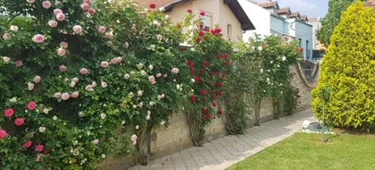 Sime Milutinovića Sarajlije | 4zida.rs