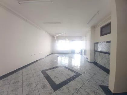 Miška Kranjca | 4zida.rs