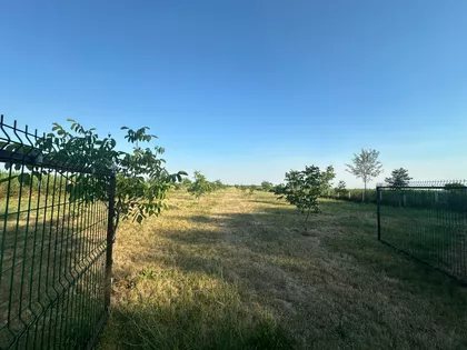 Skrobara | 4zida.rs