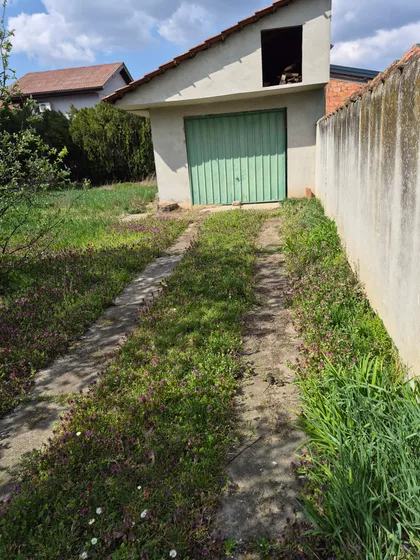 Cetinjska 23 | 4zida.rs