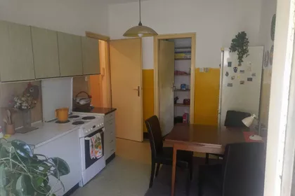 Cvijićeva | 4zida.rs