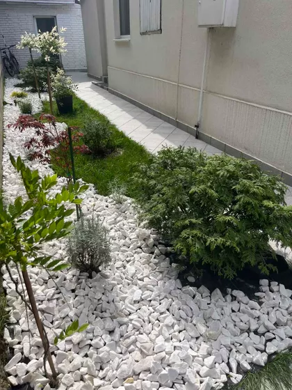 Severni Telep | 4zida.rs