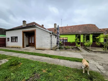 Pačir | 4zida.rs
