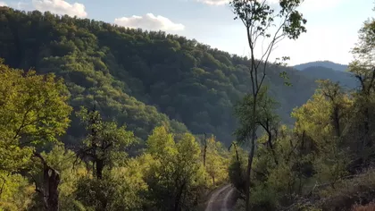 Zaselak Vlašac 1 | 4zida.rs