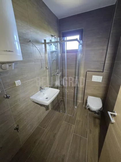 Belog narcisa | 4zida.rs