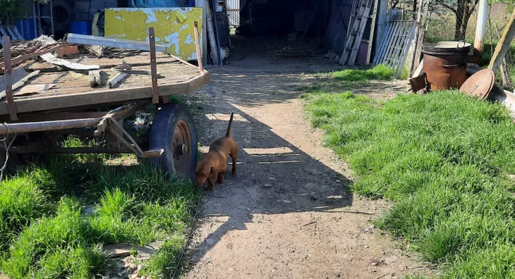 Poljoprivredno zemljište | 4zida