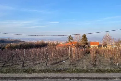 Put Za Guču | 4zida.rs