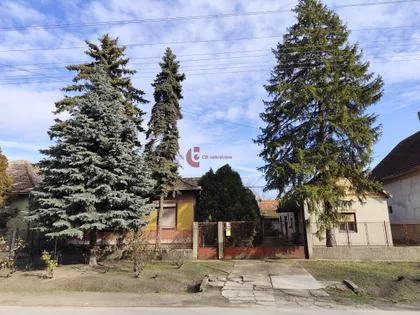 Hajdukovo | 4zida.rs