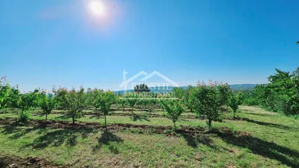 Grocka (mesto) | 4zida.rs