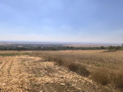 Divoš | 4zida.rs