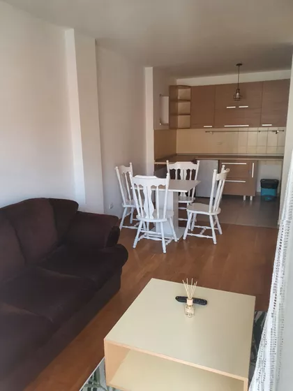 Dr Svetislava Kasapinovića | 4zida.rs