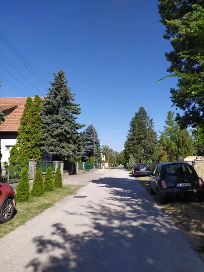 Palić | 4zida.rs