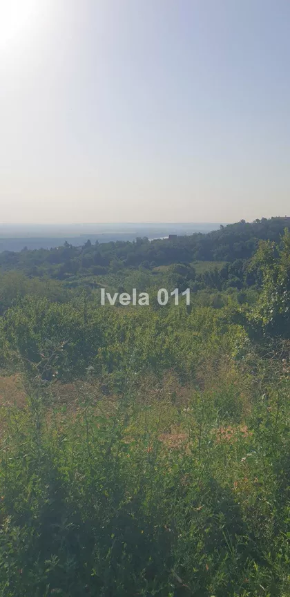 Zaklopača | 4zida.rs